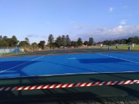 Local Business Renae Sports Courts in Johannesburg GP