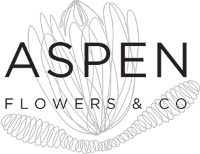 Aspen and Co