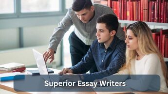 Superior essay writer