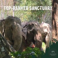 Koh Lanta Elephant locations
