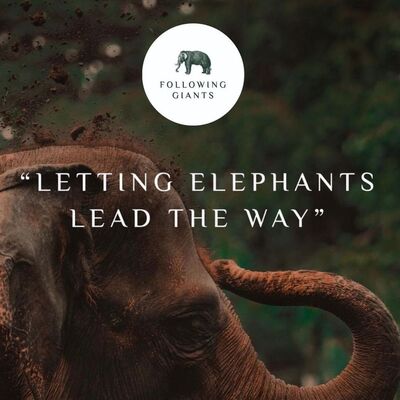 Koh Lanta Elephant locations