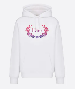 Dior Hoodie Stylish Outfits
